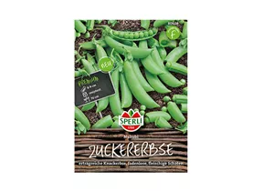 Samen Sperli - Zuckererbse Nairobi