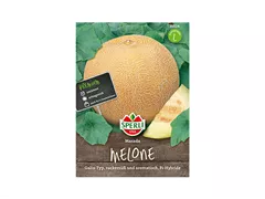 Samen Sperli - Zuckermelone Masada Samen Sperli - Zuckermelone Masada