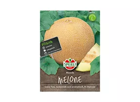 Samen Sperli - Zuckermelone Masada Samen Sperli - Zuckermelone Masada