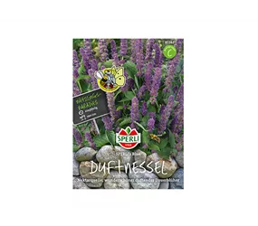 Samen Sperli - Agastache Duftne Blue Samen Sperli - Agastache Duftne Blue