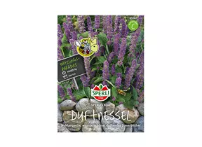 Samen Sperli - Agastache Duftne Blue Samen Sperli - Agastache Duftne Blue