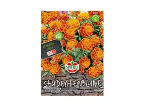 Samen Sperli - Studentenblumen Honeycomb