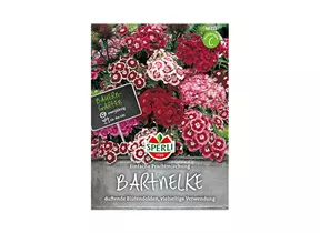 Samen Sperli - Bartnelke Prachtmischung