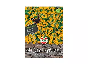 Samen Sperli - Studentenblumen Orangemeer