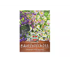 Samen Sperli - Bauernorchidee Tinkerbelle