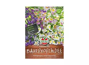 Samen Sperli - Bauernorchidee Tinkerbelle Samen Sperli - Bauernorchidee Tinkerbelle