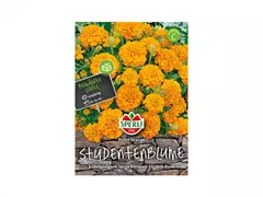 Samen Sperli - Studentenblumen Petite Orange Samen Sperli - Studentenblumen Petite Orange