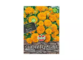 Samen Sperli - Studentenblumen Petite Orange Samen Sperli - Studentenblumen Petite Orange