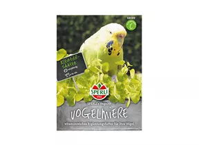 Samen Sperli - Vogelmiere Vogelfit