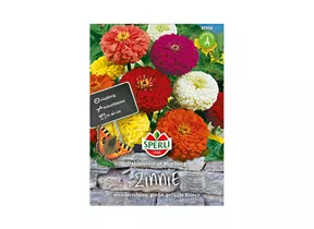 Samen Sperli - Zinnien Dahlienblütige Mischung
