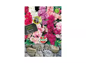 Samen Sperli - Samen Levkoja großblumig Samen Sperli - Samen Levkoja großblumig