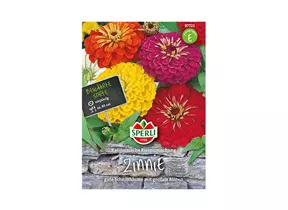 Samen Sperli - Zinnien Kaliformische Riesenmischung