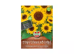 Samen Sperli - Sonnenblumen Big Smile Samen Sperli - Sonnenblumen Big Smile