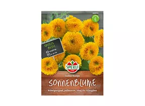Samen Sperli - Sonnenblumen gelber Knirps Samen Sperli - Sonnenblumen gelber Knirps