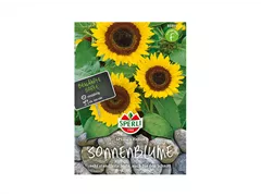 Samen Sperli - Sonnenblumen Helios Samen Sperli - Sonnenblumen Helios