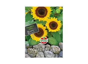 Samen Sperli - Sonnenblumen Helios Samen Sperli - Sonnenblumen Helios