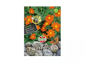 Samen Sperli - Fackelblume Fiesta del Sol Samen Sperli - Fackelblume Fiesta del Sol