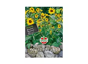 Samen Sperli - Sonnenblumen King Kong