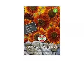 Samen Sperli - Sonnenblumen Rote Sonne Samen Sperli - Sonnenblumen Rote Sonne