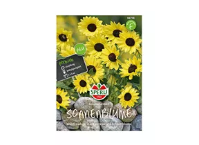 Samen Sperli - Sonnenblumen Soluna Lemon