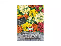 Samen Sperli - Goldlack Chupado Mischung Samen Sperli - Goldlack Chupado Mischung