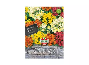 Samen Sperli - Goldlack Chupado Mischung Samen Sperli - Goldlack Chupado Mischung