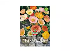 Samen Sperli - Islandmohn Zauberspiel Samen Sperli - Islandmohn Zauberspiel
