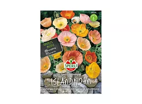 Samen Sperli - Islandmohn Zauberspiel Samen Sperli - Islandmohn Zauberspiel