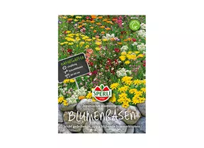 Samen Sperli - Japanischer Blumenrasen Samen Sperli - Japanischer Blumenrasen