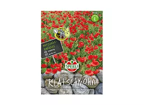 Samen Sperli - Klatschmohn Abendfeuer