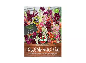 Samen Sperli - Löwenmaul Medio Mischung Samen Sperli - Löwenmaul Medio Mischung