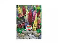 Samen Sperli - Lupinen Zauberkerzen Samen Sperli - Lupinen Zauberkerzen