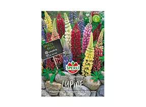 Samen Sperli - Lupinen Zauberkerzen Samen Sperli - Lupinen Zauberkerzen