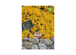 Samen Sperli - Staudensteinkraut Cotton Candy