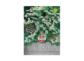 Samen Sperli - Kümmel Aroma Star Samen Sperli - Kümmel Aroma Star