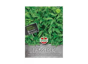 Samen Sperli - Liebstock Maggikraut