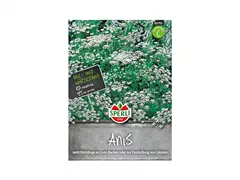 Samen Sperli - Anis