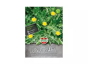 Samen Sperli - Löwenzahn Lyonell