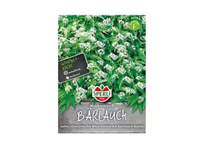 Samen Sperli - Bärlauch Samen Sperli - Bärlauch