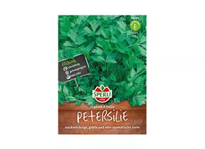 Samen Sperli - Petersilie Gigante D Italia Samen Sperli - Petersilie Gigante D Italia
