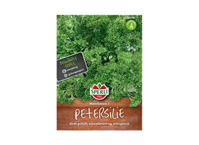 Samen Sperli - Petersilie Mooskrause 2 Samen Sperli - Petersilie Mooskrause 2