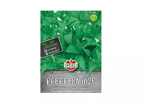 Samen Sperli - Pfefferminze Samen Sperli - Pfefferminze