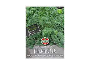 Samen Sperli - Pimpinelle Mano Verde Samen Sperli - Pimpinelle Mano Verde