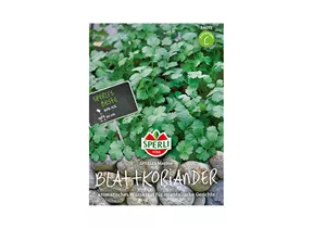 Samen Sperli - Blatt - Koriander Marino