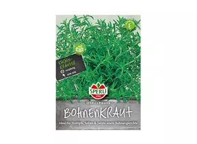 Samen Sperli - Bohnenkraut Pikanta Samen Sperli - Bohnenkraut Pikanta