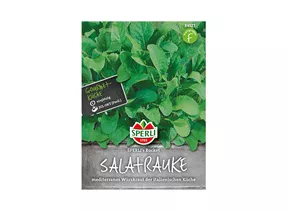 Samen Sperli - Salatrauke Rocket