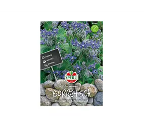 Samen Sperli - Borretsch Gurkenkraut