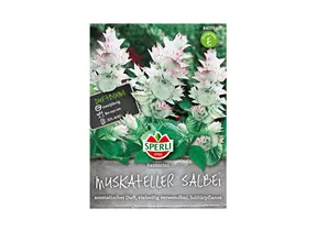 Samen Sperli - Salbei Santorini Muskateller