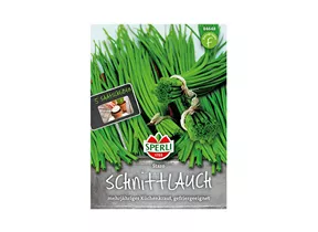 Samen Sperli - Schnittlauch Staro, 5 Saatscheiben