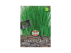 Samen Sperli - Schnittlauch Twiggy Samen Sperli - Schnittlauch Twiggy